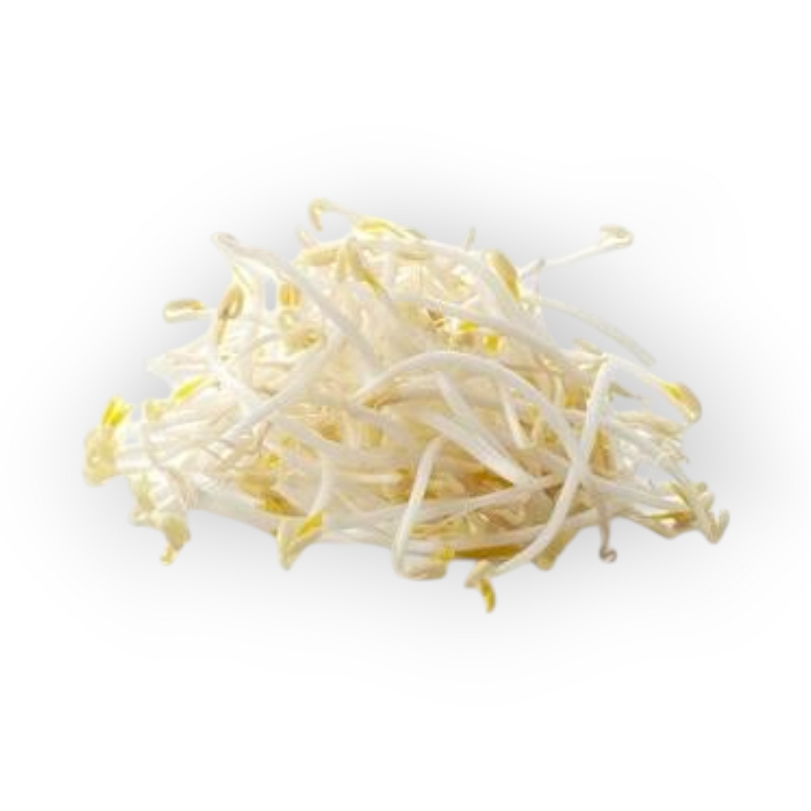 Tauge 300gr