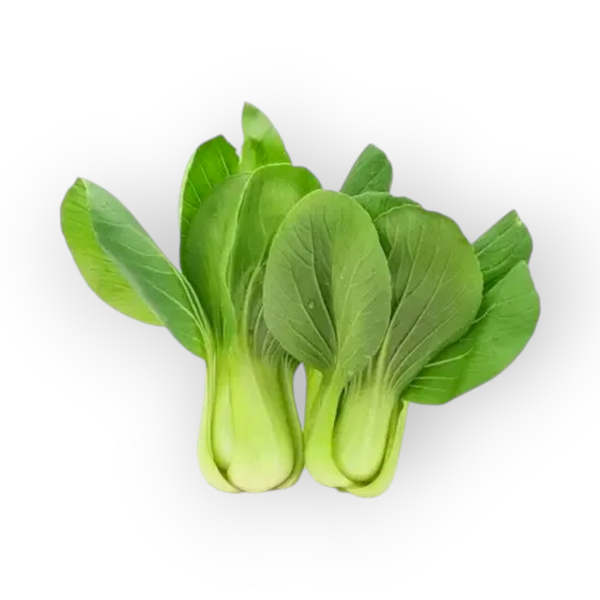 Shanghai Pak Choi